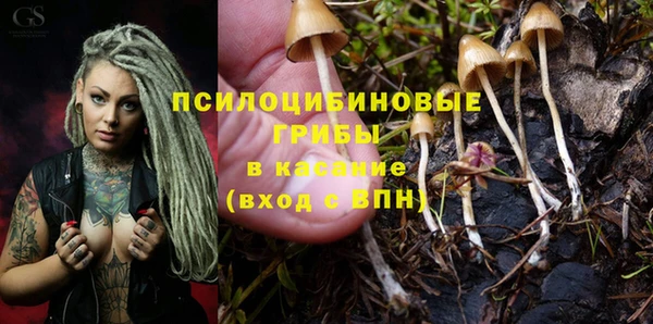 не бодяженный Горнозаводск