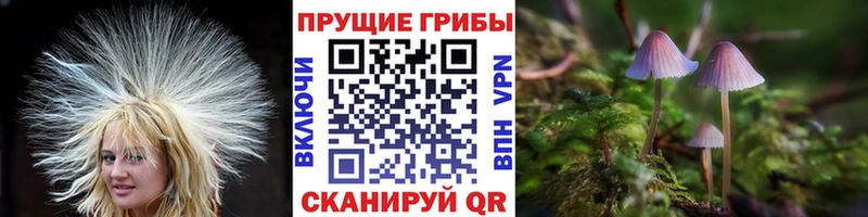 Псилоцибиновые грибы MAGIC MUSHROOMS  Дивногорск 